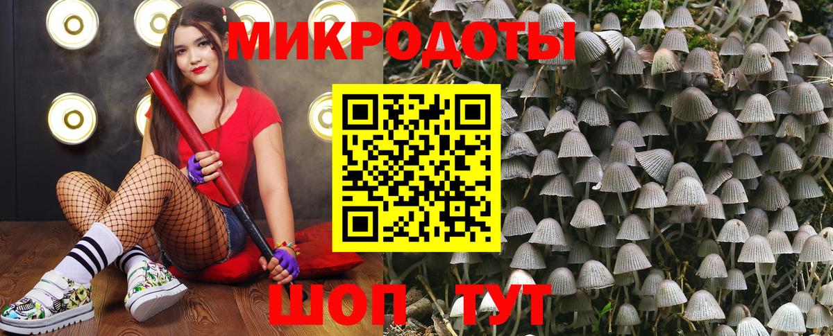 Вольск  Галлюциногенные грибы мухоморы  Вход с VPN 